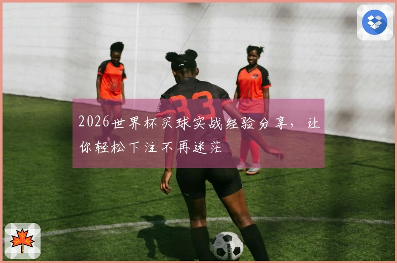 2026世界杯买球实战经验分享，让你轻松下注不再迷茫