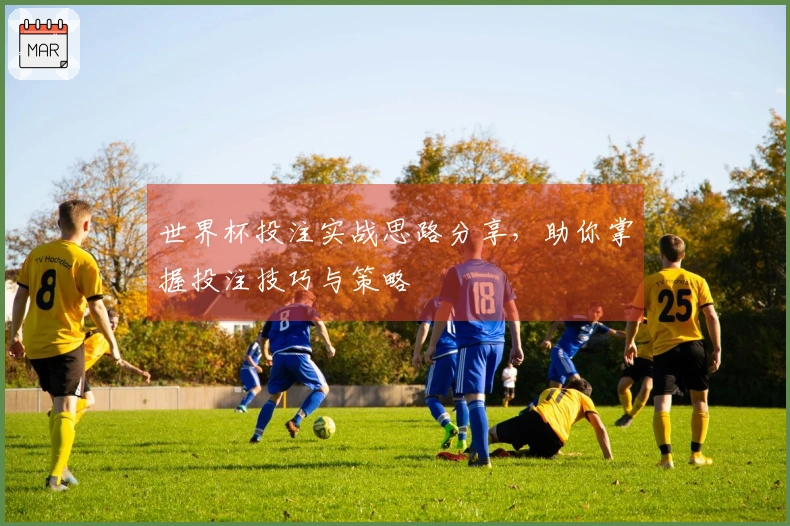 世界杯投注实战思路分享，助你掌握投注技巧与策略