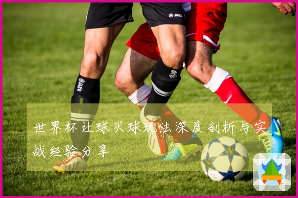 世界杯让球买球玩法深度剖析与实战经验分享