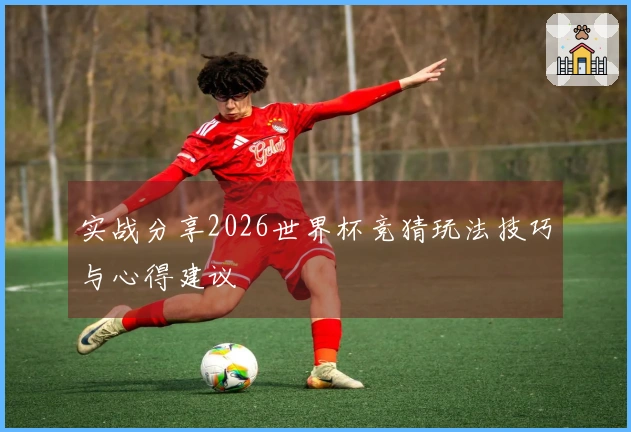 实战分享2026世界杯竞猜玩法技巧与心得建议