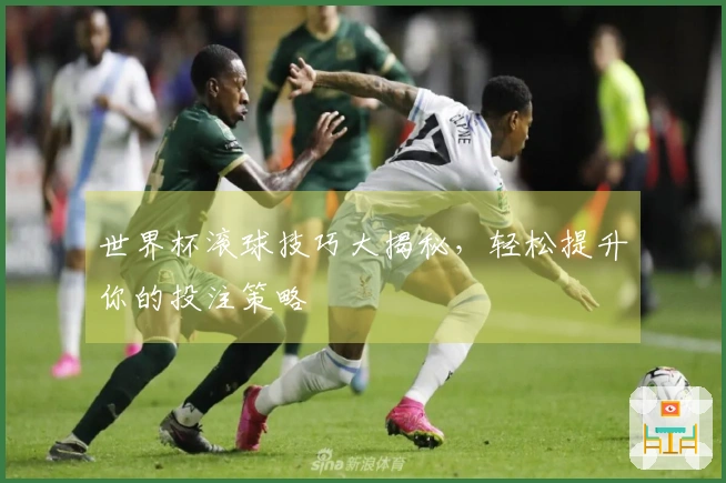 世界杯滚球技巧大揭秘，轻松提升你的投注策略