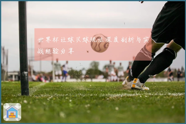 世界杯让球买球玩法深度剖析与实战经验分享