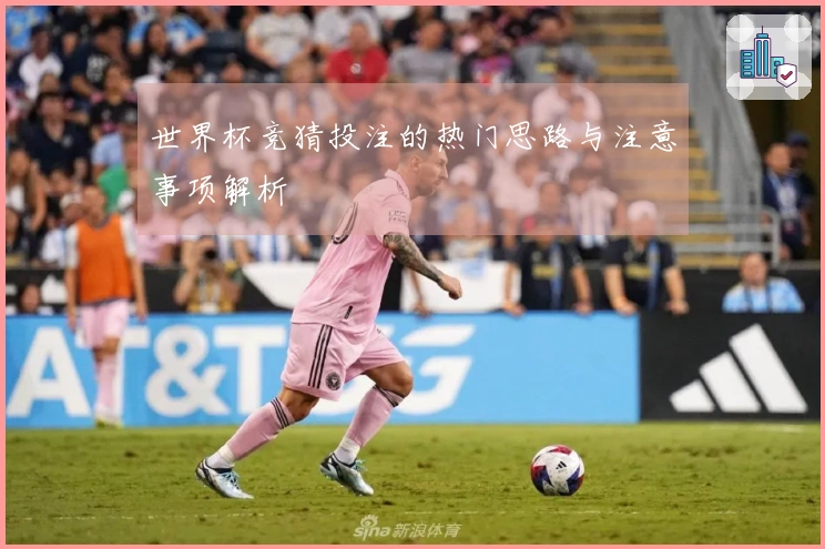 世界杯竞猜投注的热门思路与注意事项解析